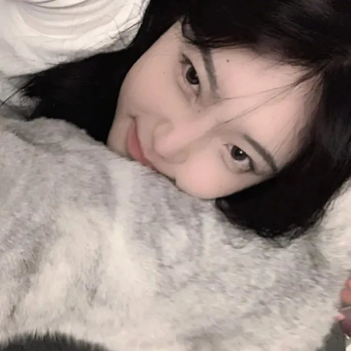 123度谋杀案